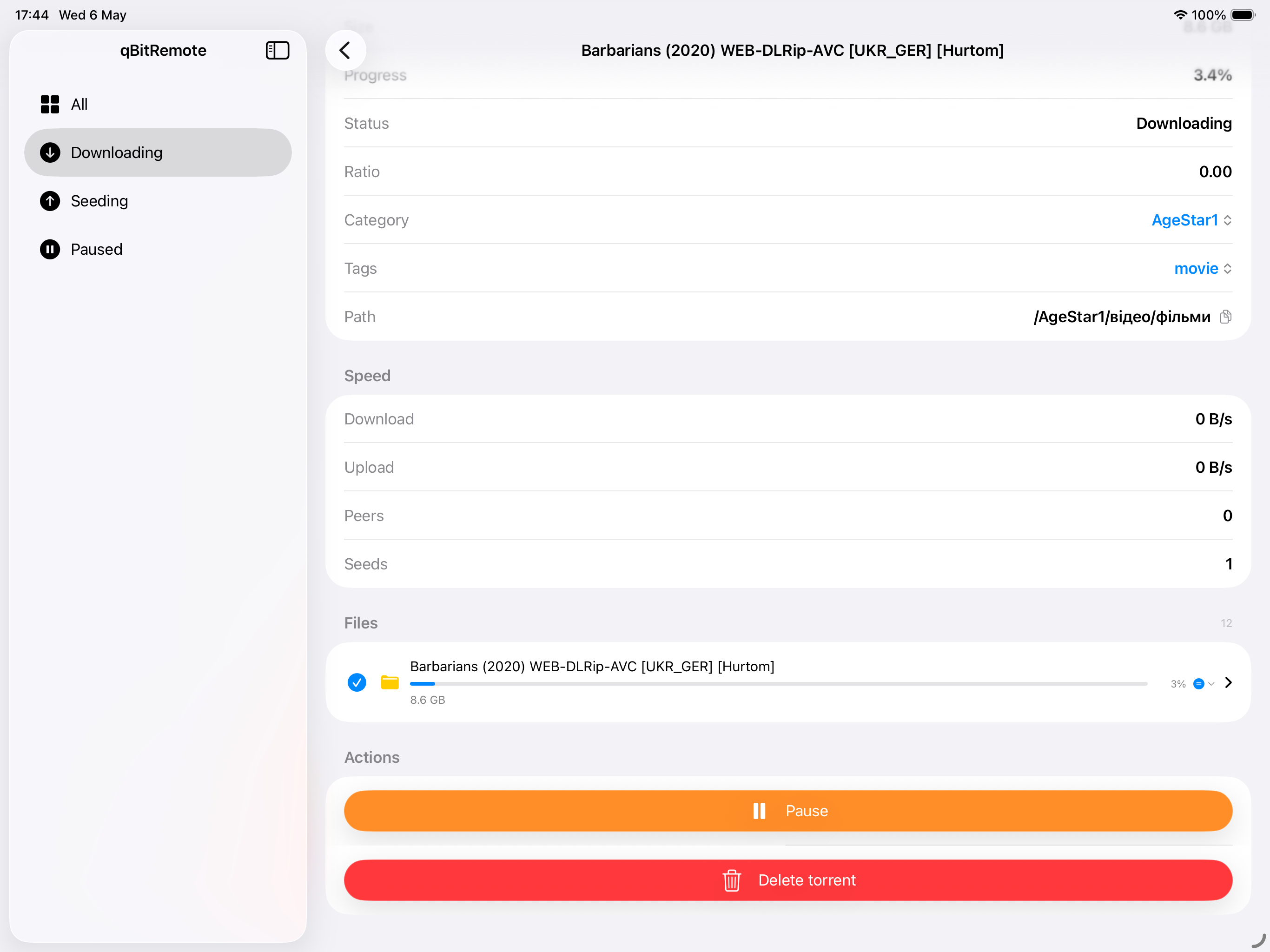 qBitRemote on iPad — torrent detail